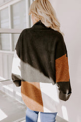 Brown Plus Size Open Front Color Block Cardigan